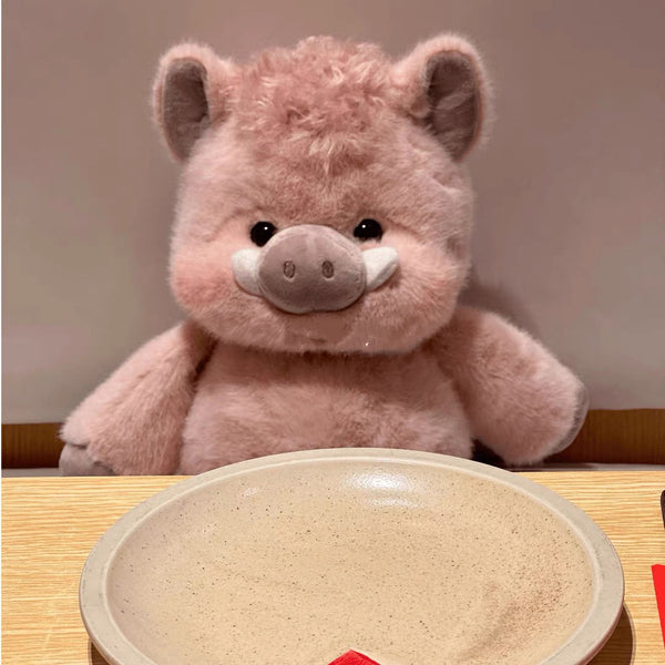 Kawaii Pig Plush Toy PN7227