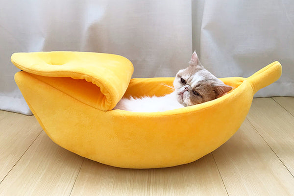 Cute Banana Cat House PN4927