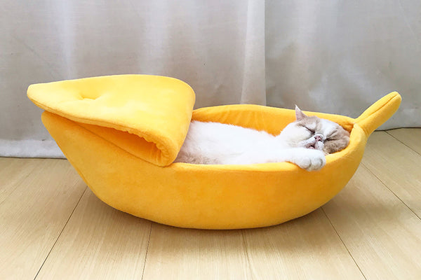 Cute Banana Cat House PN4927