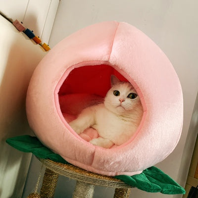 Cute Peach Cat House PN4320