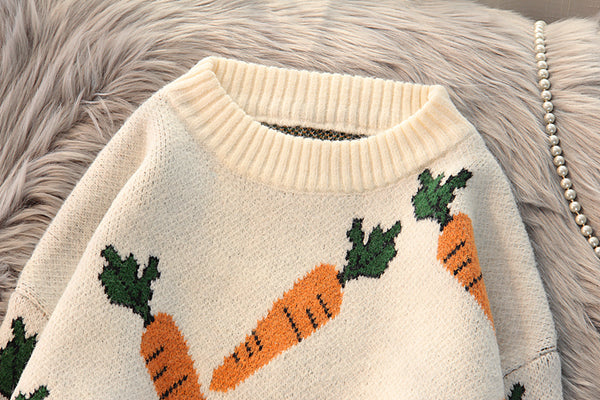 Cute Carrot Sweater PN2783