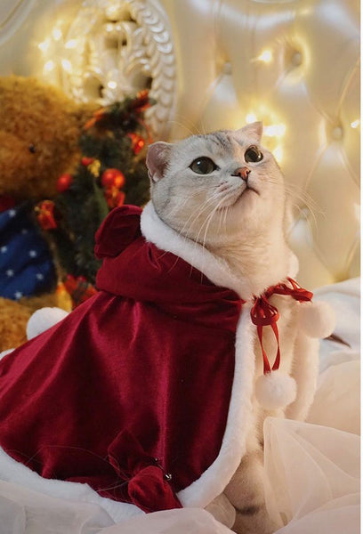 Lovely Cat Christmas Shawl Cloak PN4417