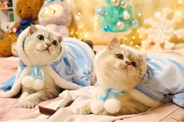 Lovely Cat Christmas Shawl Cloak PN4417