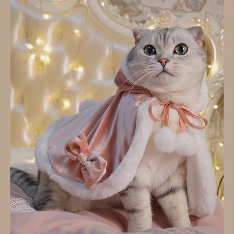 Lovely Cat Christmas Shawl Cloak PN4417