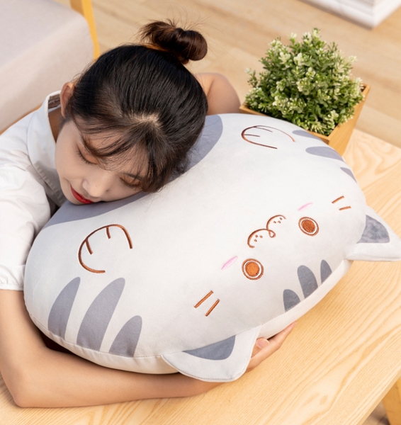 Lovely Cat Hold Pillow PN5374